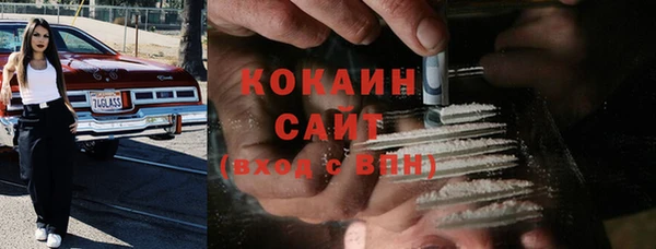 крисы Богородицк