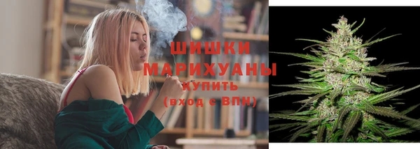 крисы Богородицк