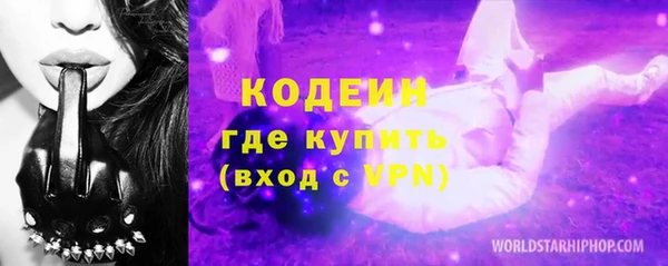 крисы Богородицк