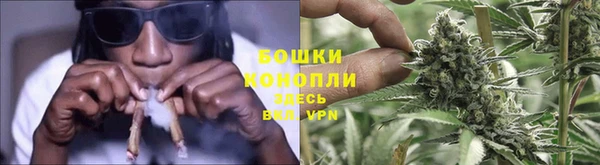 тгк Богородск