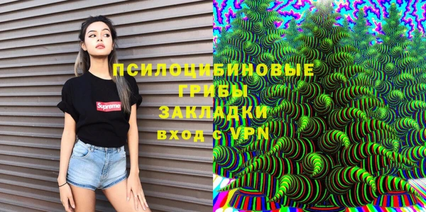 тгк Богородск