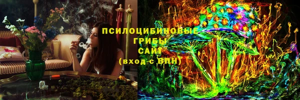 крисы Богородицк