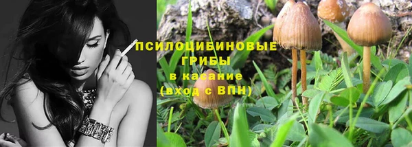 крисы Богородицк