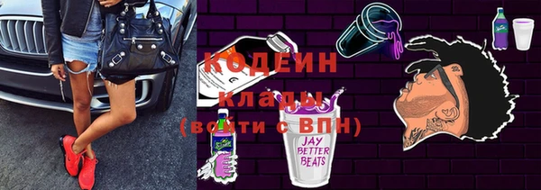 крисы Богородицк